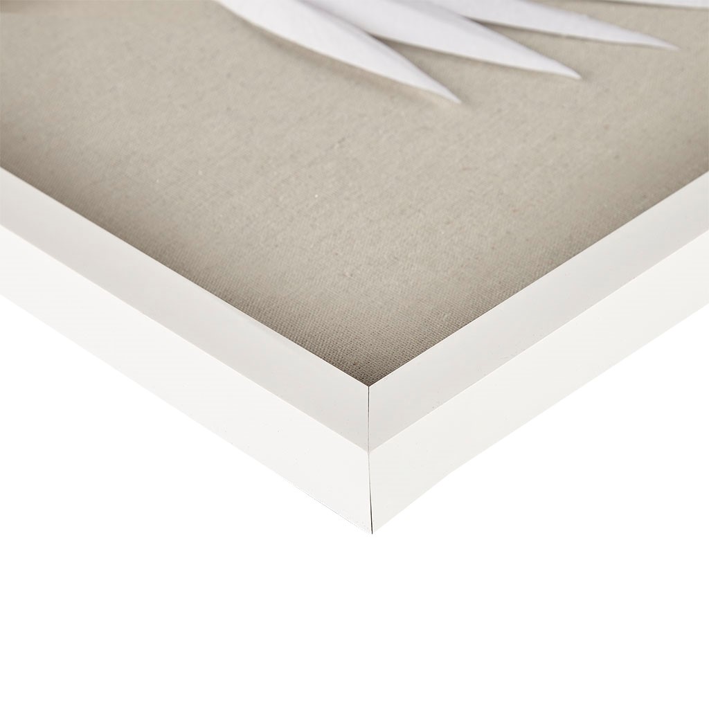Olliix Wholesale