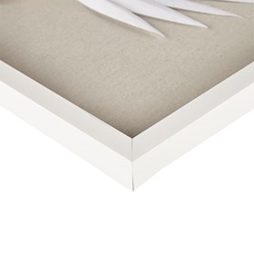 Olliix Wholesale