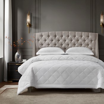 Cotton Premium Blanket