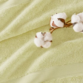 Olliix Wholesale
