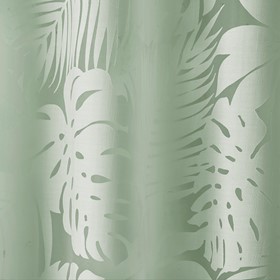Olliix Wholesale