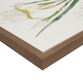 Olliix Wholesale