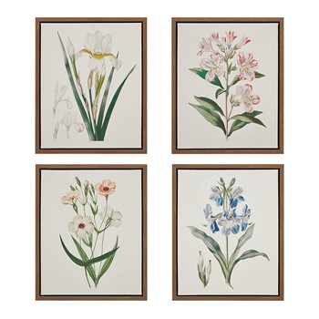 Wholesale Madison Park Herbal Botany 4-piece Botanical Illustration Framed Canvas Wall Art Set