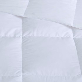 Olliix Wholesale