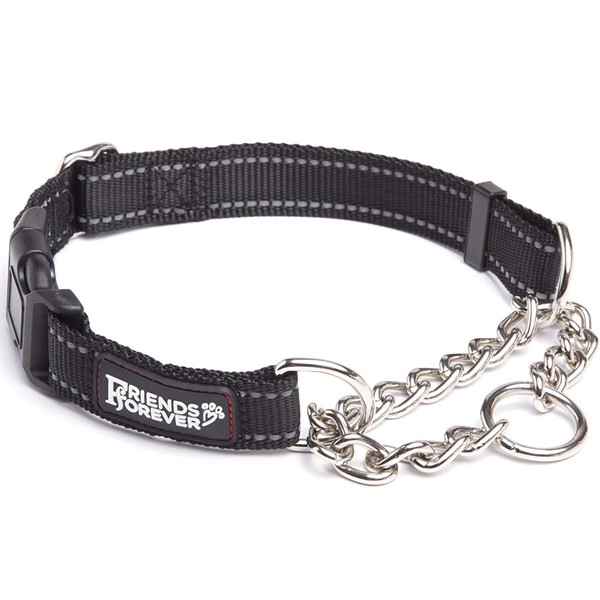 Friends Forever Martingale Reflective No Pull Dog Collar for