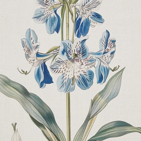 Olliix Wholesale