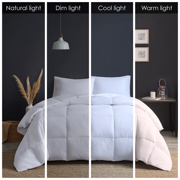 Sleep Philosophy Level 3: Warmest 3M Thinsulate Down Alternative Comforter,  Full/Queen