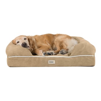 Chester Pet Couch with Solid Memory Foam