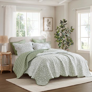 Wholesale Madison Park Darcy 3 Piece Print Quilt Set